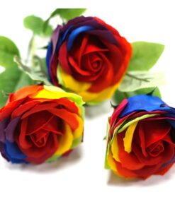 Rainbow rose