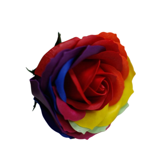 Såperose - rainbow